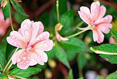 Xbox《完美黑暗：重启版》可能也会登陆PS5